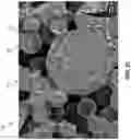 Fig. 05 - COATING PROVIDING PANCHROMATIC SCATTERING