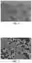 Fig. 04 - HIGH-REFRACTIVE INDEX MICROSPHERE MIE SCATTERING-BASED SCHEMOCHROME COATING