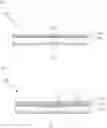 Fig. 03 - Coating resin composition for flexible cover window and flexible cover window using same