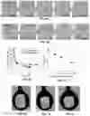 Fig. 05 - Biocompatible Oil Herders and Methods of Use