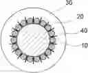 Fig. 01 - Quantum dot-containing nanoparticle and method for manufacturing same