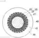 Fig. 03 - Quantum dot-containing nanoparticle and method for manufacturing same