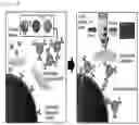 Fig. 06 - Quantum dot-containing nanoparticle and method for manufacturing same