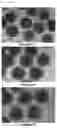 Fig. 09 - Quantum dot-containing nanoparticle and method for manufacturing same