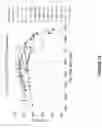 Fig. 14 - Films comprising bright silver based quaternary nanostructures