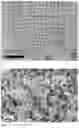 Fig. 04 - Luminescent crystals and manufacturing thereof