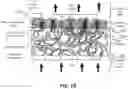 Fig. 03 - Systems and methods for cultivating tissue on porous substrates