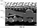 Fig. 04 - Systems and methods for cultivating tissue on porous substrates