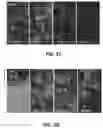 Fig. 09 - Systems and methods for cultivating tissue on porous substrates