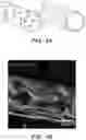 Fig. 10 - Additive Manufacturing of Functional Myocardial Tissue