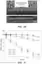 Fig. 21 - Additive Manufacturing of Functional Myocardial Tissue