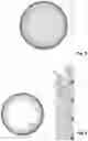 Fig. 04 - DEVICE FOR SEEDING CELLS
