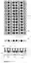 Fig. 06 - MICROPLATE ASSEMBLY AND METHOD FOR TRANSFERRING SAMPLE BY MEANS OF A MICROPLATE ASSEMBLY