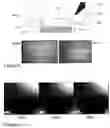Fig. 10 - Microfluidic cell culture systems
