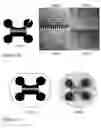 Fig. 12 - Microfluidic cell culture systems