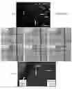 Fig. 20 - Microfluidic cell culture systems