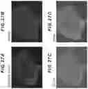 Fig. 28 - CELL CULTURE VESSEL AND METHOD FOR CULTURING CELL