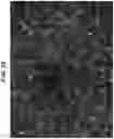 Fig. 36 - CELL CULTURE VESSEL AND METHOD FOR CULTURING CELL