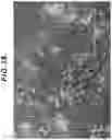Fig. 39 - CELL CULTURE VESSEL AND METHOD FOR CULTURING CELL