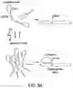 Fig. 06 - ILLUMINATION DEVICE FOR SPATIAL AND TEMPORAL CONTROL OF MORPHOGEN SIGNALING IN CELL CULTURES