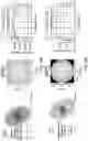 Fig. 24 - ILLUMINATION DEVICE FOR SPATIAL AND TEMPORAL CONTROL OF MORPHOGEN SIGNALING IN CELL CULTURES