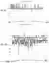 Fig. 04 - Device and method for controlling a bioreactor