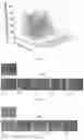 Fig. 04 - METHOD OF TESTTING INHIBITORY EFFECT OF CARBON DIOXIDE ON SPOILAGE CAUSING ABILITY OF SHEWANELLA PUTREFACIENS