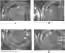 Fig. 01 - Methods for tissue fabrication