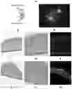 Fig. 08 - Methods for tissue fabrication