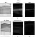Fig. 09 - Methods for tissue fabrication