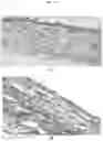 Fig. 14 - Methods for tissue fabrication