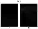 Fig. 17 - Methods for tissue fabrication