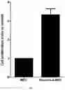 Fig. 02 - COMPOSITION FOR PROMOTING PRODUCTION OF STEM CELL-DERIVED EXOSOMES AND INCREASING STEMNESS