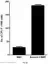 Fig. 04 - COMPOSITION FOR PROMOTING PRODUCTION OF STEM CELL-DERIVED EXOSOMES AND INCREASING STEMNESS