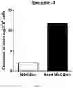 Fig. 07 - COMPOSITION FOR PROMOTING PRODUCTION OF STEM CELL-DERIVED EXOSOMES AND INCREASING STEMNESS