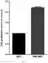 Fig. 09 - COMPOSITION FOR PROMOTING PRODUCTION OF STEM CELL-DERIVED EXOSOMES AND INCREASING STEMNESS