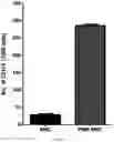 Fig. 11 - COMPOSITION FOR PROMOTING PRODUCTION OF STEM CELL-DERIVED EXOSOMES AND INCREASING STEMNESS