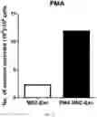 Fig. 13 - COMPOSITION FOR PROMOTING PRODUCTION OF STEM CELL-DERIVED EXOSOMES AND INCREASING STEMNESS