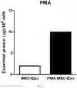 Fig. 14 - COMPOSITION FOR PROMOTING PRODUCTION OF STEM CELL-DERIVED EXOSOMES AND INCREASING STEMNESS