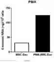Fig. 15 - COMPOSITION FOR PROMOTING PRODUCTION OF STEM CELL-DERIVED EXOSOMES AND INCREASING STEMNESS
