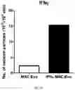 Fig. 20 - COMPOSITION FOR PROMOTING PRODUCTION OF STEM CELL-DERIVED EXOSOMES AND INCREASING STEMNESS
