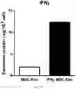 Fig. 21 - COMPOSITION FOR PROMOTING PRODUCTION OF STEM CELL-DERIVED EXOSOMES AND INCREASING STEMNESS
