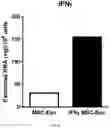 Fig. 22 - COMPOSITION FOR PROMOTING PRODUCTION OF STEM CELL-DERIVED EXOSOMES AND INCREASING STEMNESS