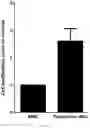 Fig. 23 - COMPOSITION FOR PROMOTING PRODUCTION OF STEM CELL-DERIVED EXOSOMES AND INCREASING STEMNESS