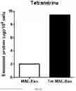 Fig. 28 - COMPOSITION FOR PROMOTING PRODUCTION OF STEM CELL-DERIVED EXOSOMES AND INCREASING STEMNESS