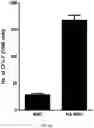 Fig. 32 - COMPOSITION FOR PROMOTING PRODUCTION OF STEM CELL-DERIVED EXOSOMES AND INCREASING STEMNESS