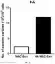 Fig. 34 - COMPOSITION FOR PROMOTING PRODUCTION OF STEM CELL-DERIVED EXOSOMES AND INCREASING STEMNESS