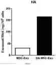 Fig. 36 - COMPOSITION FOR PROMOTING PRODUCTION OF STEM CELL-DERIVED EXOSOMES AND INCREASING STEMNESS