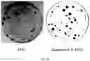 Fig. 38 - COMPOSITION FOR PROMOTING PRODUCTION OF STEM CELL-DERIVED EXOSOMES AND INCREASING STEMNESS