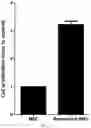 Fig. 44 - COMPOSITION FOR PROMOTING PRODUCTION OF STEM CELL-DERIVED EXOSOMES AND INCREASING STEMNESS